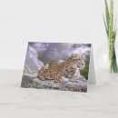 Recherche de maya vœux cartes Jaguar