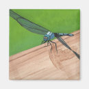 Search for railing magnets Blue