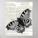 Search for white and black butterfly posters Insect