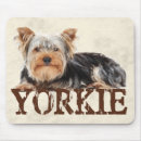 Recherche de yorkie tapis souris Chiots