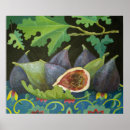 Search for fig posters Fruit