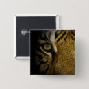 Search for tiger eye buttons Feline