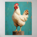 Recherche de blanche dans la base posters Poulet