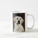Recherche de labrador jaune tasses Animal familier