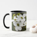 Search for dogwood tree mugs Nature photography