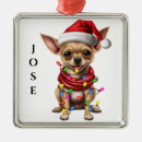 Search for chihuahua ornaments Green