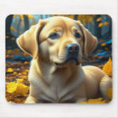 Search for yellow lab electronics Cute