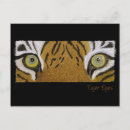 Search for tiger eyes postcards Feline