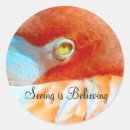 Recherche de oiseaux sauvages autocollants Photographie