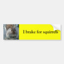 Search for i brake for squirrels bumper stickers Driving