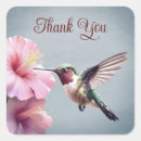 Search for hummingbird stickers Thank you