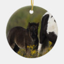 Search for miniature horse ornaments Mare foal