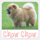 Search for chow stickers Puppy