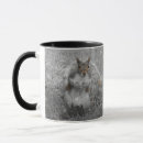 Search for gray squirrel mugs Rodent