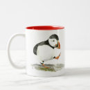 Recherche de puffin tasses Oiseaux