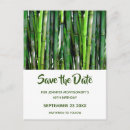 Search for bamboo save the dates Chinese