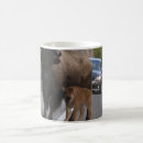 Search for bison gifts National