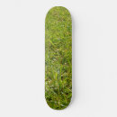 Search for garden skateboards Grass