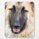 Recherche de alsacien tapis souris Gsd