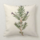 Search for herbal Lavender