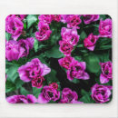 Recherche de rose tulipe tapis souris Violet