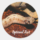 Search for venomous snake stickers Reptile