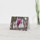 Search for magnolia christmas cards Flower