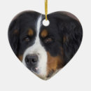 Search for bernese mountain dog christmas decor Dogs