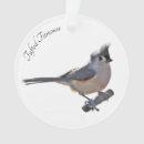 Search for tufts ornaments Wildlife