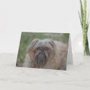 Search for humour get well cards Pets