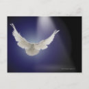 Search for beam postcards Light