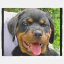 Search for rottweiler blankets Puppy