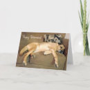 Search for retired dog cards Funny