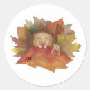 Recherche de coccinelle sur feuille autocollants Mignon