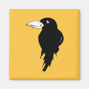 Search for blackbirds magnets Raven