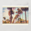 Recherche de palm tree postcards Vintage