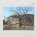 Search for smith horizontal postcards Oregon