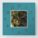 Recherche de animaux familiers horloges Chat