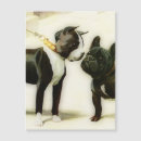 Search for boston terrier valentines day cards Pets