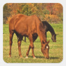 Search for farm in autumn stickers Nature