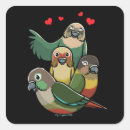Search for cheeked stickers Green cheeked conure