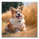 Search for pet memorial posters Dog