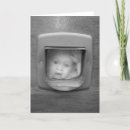Search for flaps cards Cat flap