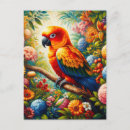 Search for conure postcards Cute