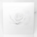 Search for blank programs Create your own