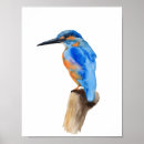 Search for kingfisher painting art Watercolor