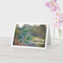 Search for olive tree cards Olives