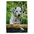 Search for dalmatian gift bags Animal
