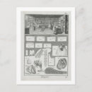 Recherche de atelier cartes postales École