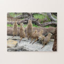 Recherche de meerkat puzzles Sauvage